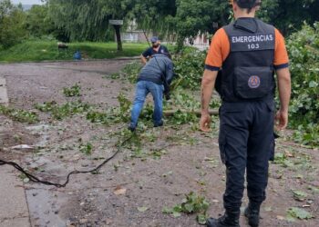 Las localidades más afectadas por la última tormenta: Capital, Palpalá, El Carmen y Monterrico, recibieron asistencia de personal de Emergencia