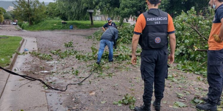 Las localidades más afectadas por la última tormenta: Capital, Palpalá, El Carmen y Monterrico, recibieron asistencia de personal de Emergencia