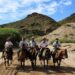 Maimará: Se viene la «Marcha de Criadores de Caballos Criollos» en honor a un nuevo aniversario de la localidad de Posta de Hornillos