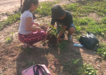 «Planta un árbol y estarás sembrando conciencia»: Día Mundial de la Educación Ambiental en Puesto Viejo