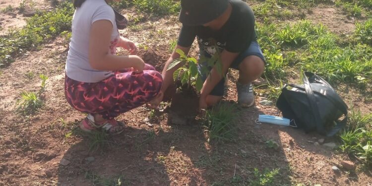 «Planta un árbol y estarás sembrando conciencia»: Día Mundial de la Educación Ambiental en Puesto Viejo