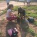 «Planta un árbol y estarás sembrando conciencia»: Día Mundial de la Educación Ambiental en Puesto Viejo