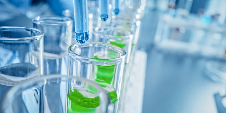 El cannabis podría prevenir la infección por COVID, según un nuevo estudio