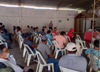 Pequeños productores de Aguas Calientes recibieron subsidios por heladas