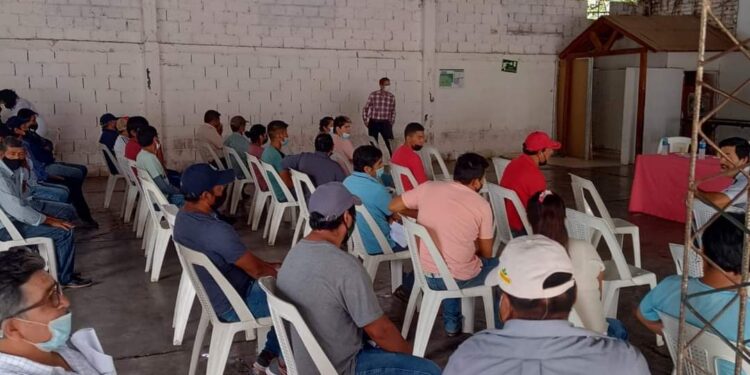 Pequeños productores de Aguas Calientes recibieron subsidios por heladas