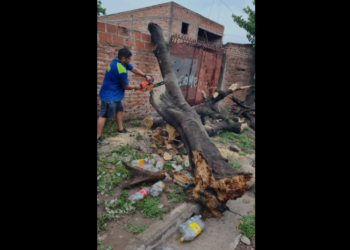 Así vivió la provincia de Jujuy el temporal durante el domingo
