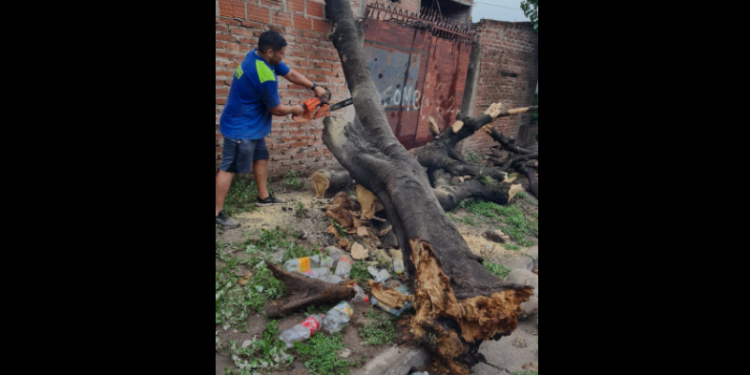 Así vivió la provincia de Jujuy el temporal durante el domingo