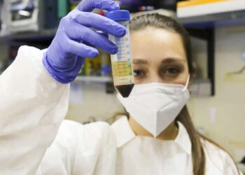 Aseguran que la memoria celular que generan las vacunas contra el Covid reconoce todas las variantes