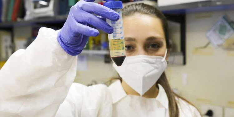 Aseguran que la memoria celular que generan las vacunas contra el Covid reconoce todas las variantes