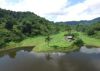 Recomendaciones para visitar el parque Potrero de Yala