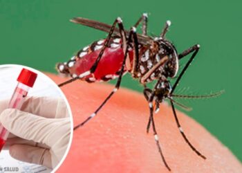 Salud coordinan trabajos con los municipios para la erradicación «dengue»