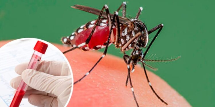 Salud coordinan trabajos con los municipios para la erradicación «dengue»