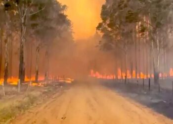 Luis Martín: “Vamos a permanecer en Corrientes hasta que la situación esté controlada” 
