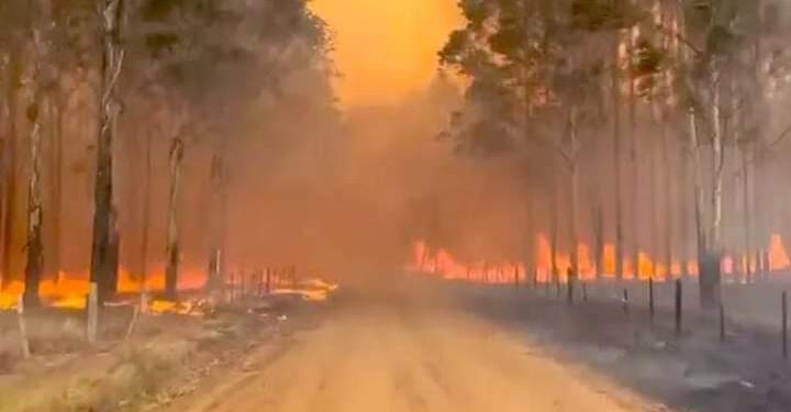 Luis Martín: “Vamos a permanecer en Corrientes hasta que la situación esté controlada”