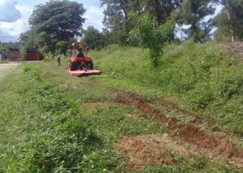 Fraile Pintado avanza en trabajo integral de desmalezado