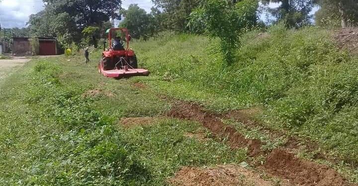 Fraile Pintado avanza en trabajo integral de desmalezado