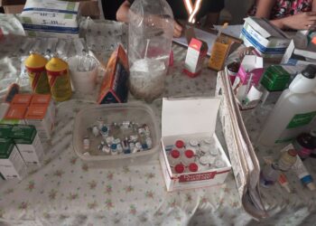 Denuncian que mujer ejercía la medicina veterinaria ilegal