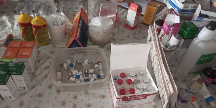 Denuncian que mujer ejercía la medicina veterinaria ilegal