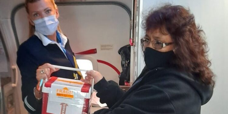 Donación de órganos Equipos jujeños realizaron la tercera ablación del año