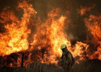 Catástrofe ambiental: Jujuy enviará una nueva cuadrilla de brigadista a Corrientes tras alcanzar las 700 has destruidas