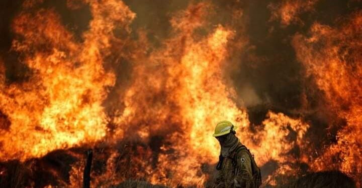 Catástrofe ambiental: Jujuy enviará una nueva cuadrilla de brigadista a Corrientes tras alcanzar las 700 has destruidas