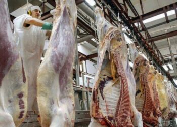 Gobierno renovó acuerdo de precios para siete cortes de carne: cuáles son y dónde conseguirlos