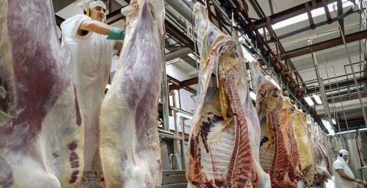 Gobierno renovó acuerdo de precios para siete cortes de carne: cuáles son y dónde conseguirlos