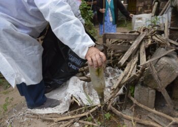 En época de lluvias es determinante prevenir el dengue