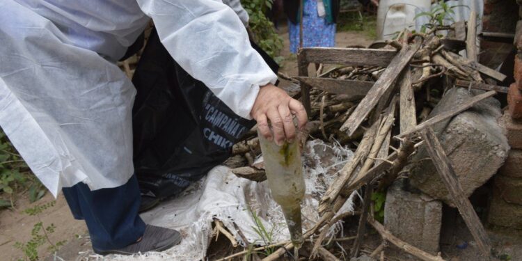 En época de lluvias es determinante prevenir el dengue