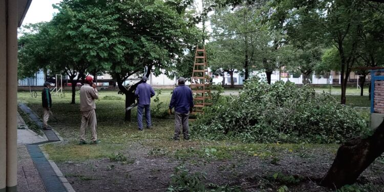 El municipio avanza con el desmalezado de escuelas en San Pedro