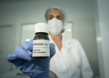 Claudia Martino: “Jujuy es la primera provincia con esta política pública de distribución transversal de aceite del cannabis medicinal”