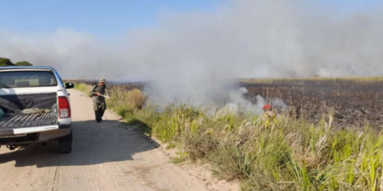 Los brigadistas sampedreños trabajan desde el casco del Parque Nacional Iberá en Corrientes para evitar el avance del incendio