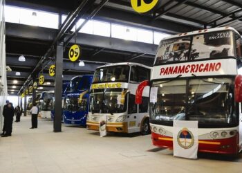 Carnaval Grande: Del 25 de febrero al 1 de marzo habrán servicios especiales de transporte