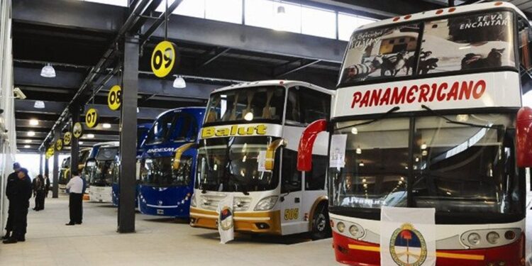 Carnaval Grande: Del 25 de febrero al 1 de marzo habrán servicios especiales de transporte
