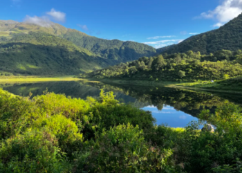 Protección de bosques nativos: Jujuy es una de las provincias que mejor cumple con la ley