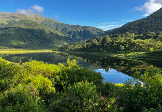 Protección de bosques nativos: Jujuy es una de las provincias que mejor cumple con la ley