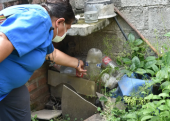 Viviendas libres de mosquitos: el primer paso para evitar el dengue