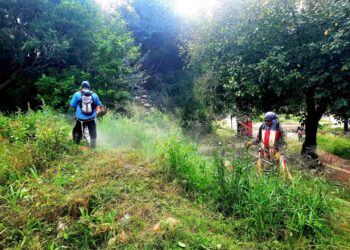 Trabajan en el mantenimiento de los polideportivos