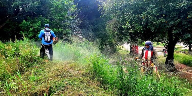 Trabajan en el mantenimiento de los polideportivos