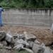Inciaron los trabajos preliminares para la construcción del puente de Bº Las Maderas