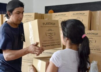 Comer en Casa: Entrega de unidades alimentarias en la región Yungas