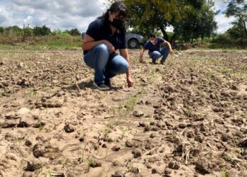 Intensifican acciones para mejorar la productividad de los suelos jujeños  