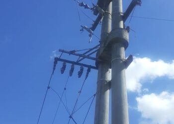 Ola de inseguridad en la zona rural le cuesta millones de pesos a tabacaleros y cañeros