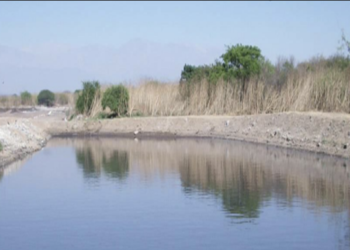 Uso de biotecnología innovadora en Jujuy para el tratamiento de residuos de mataderos