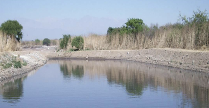 Uso de biotecnología innovadora en Jujuy para el tratamiento de residuos de mataderos