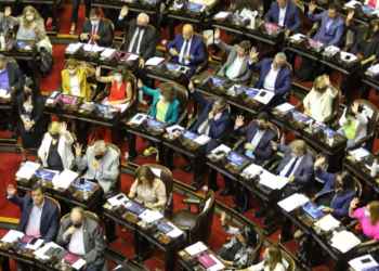 Alberto Fernández sólo logró que le aprueben el 39% de las leyes que envió al Congreso