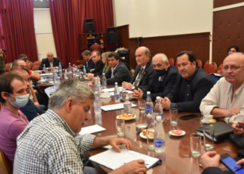 Combustible, repuestos y pagos de patentamientos, los ejes de la reunión con la Comisión de Transporte y Comunicación