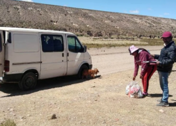 Programa «Comer en Casa» en Yavi