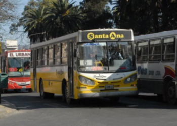 El 1º de Mayo no habrá colectivos