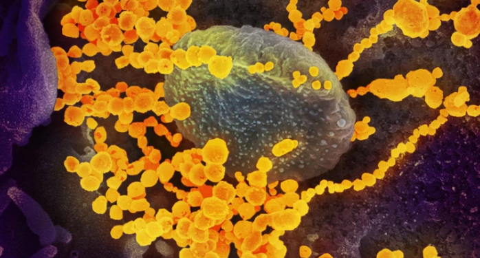 Así es el paso a paso del contagio del coronavirus, según un nuevo estudio